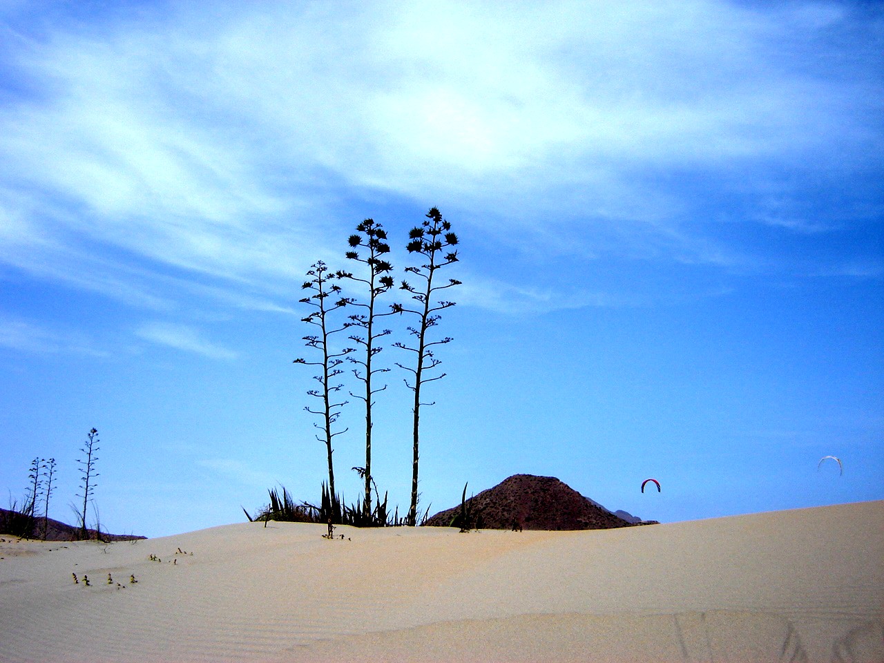 Duna Playa Monsul